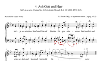 4. Ach Gott und Herr (Soll's ja so sein) (BWV 48.3)