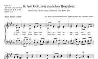 8. Ach Gott wie manches Herzeleid (BWV 3.6)