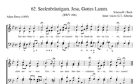 62. Seelenbräutigam, Jesu, Gottes Lamm (BWV 496)