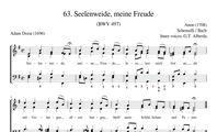 63. Seelenweide, meine Freude (BWV 497)