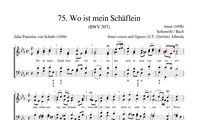 75. Wo ist mein Schäflein (BWV 507)