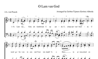 305. O Lam van God